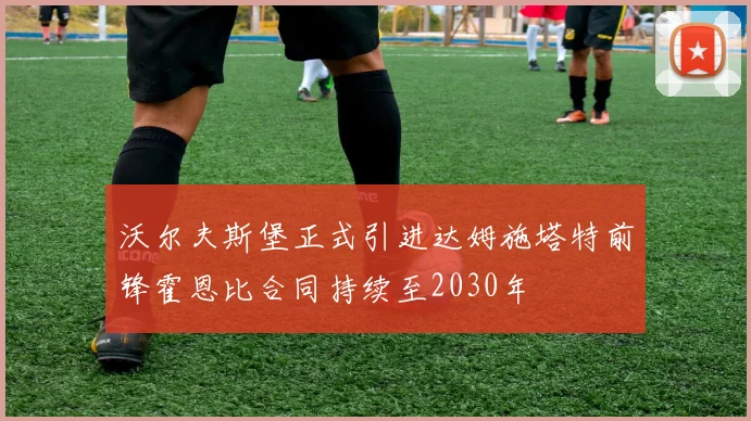 沃尔夫斯堡正式引进达姆施塔特前锋霍恩比合同持续至2030年