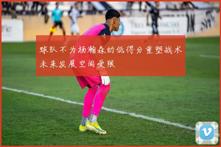 球队不为杨瀚森的低得分重塑战术未来发展空间受限