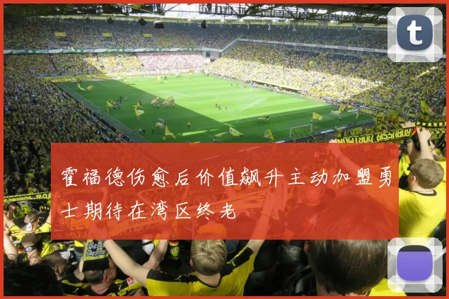 霍福德伤愈后价值飙升主动加盟勇士期待在湾区终老
